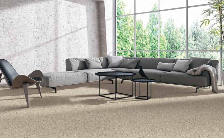 greige carpet in living room with a couch and a coffee table