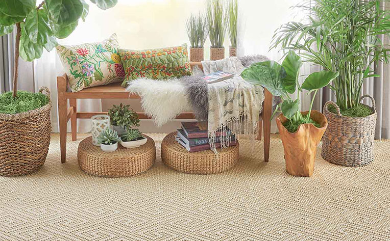 Living room Decorated with lots of different plants